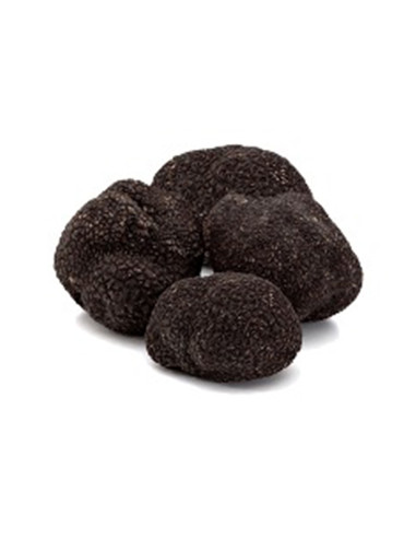 FRESH BLACK TRUFFLE